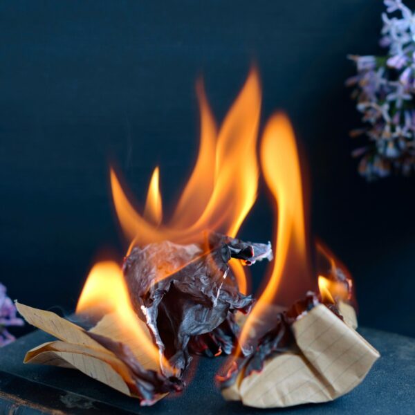 book-burning