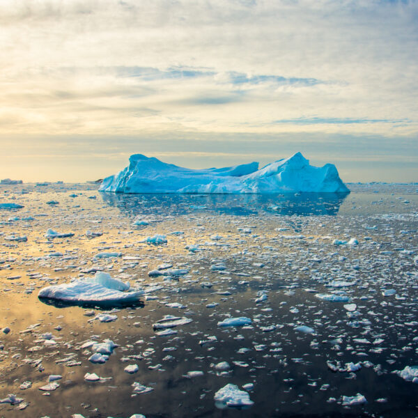 antarctica-wild-nature-landscape
