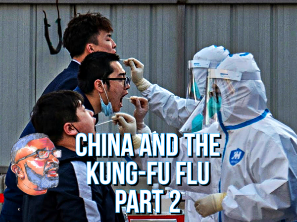 china and the kung fu flu