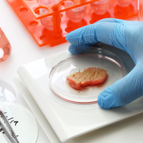 cultured-meat-making-image-lab-grown-meat-concept